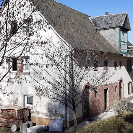 Villa Nordiques De La Welche Orbey Esterno foto