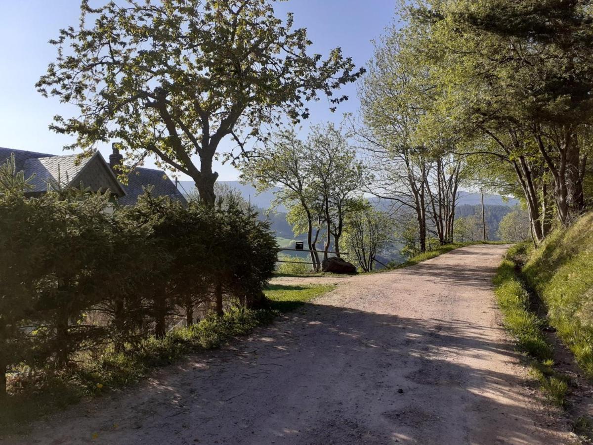 Villa Nordiques De La Welche Orbey Esterno foto