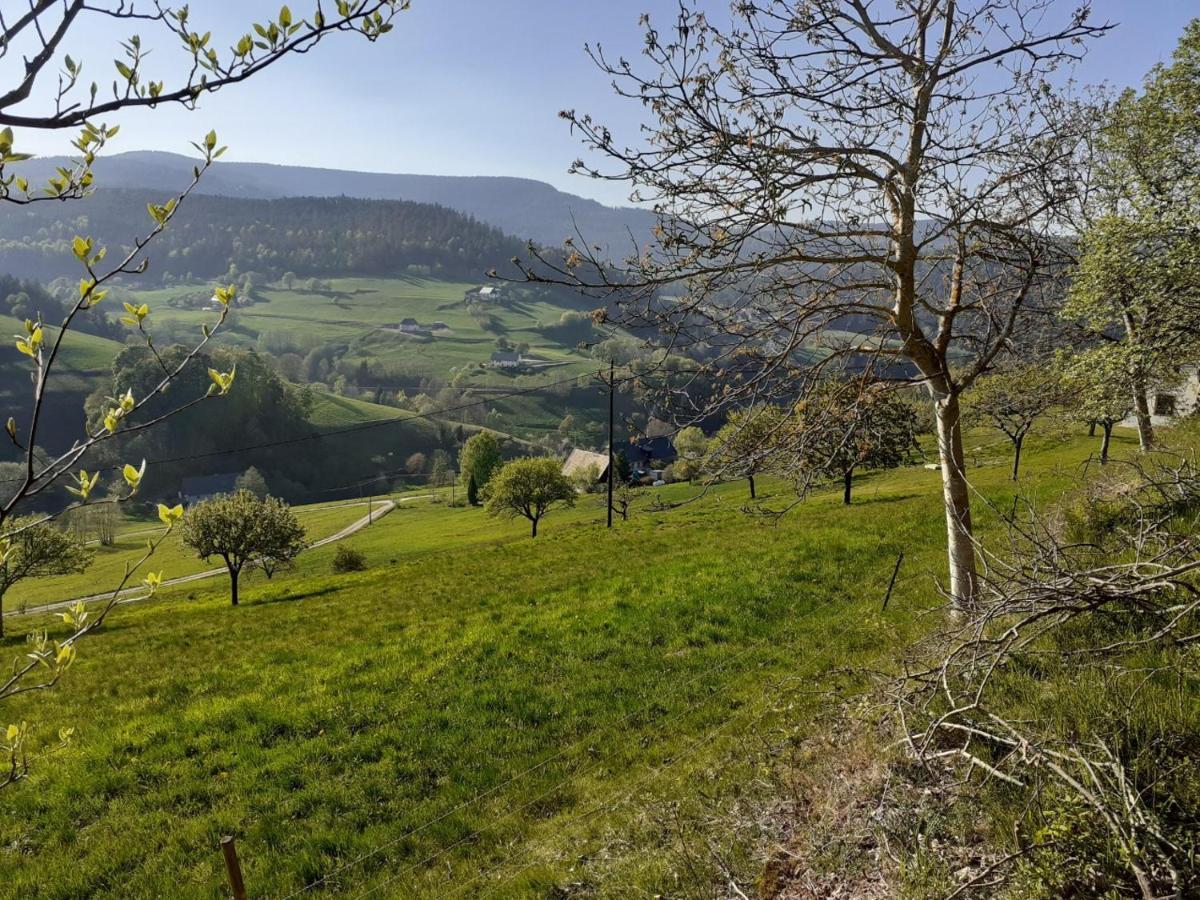Villa Nordiques De La Welche Orbey Esterno foto