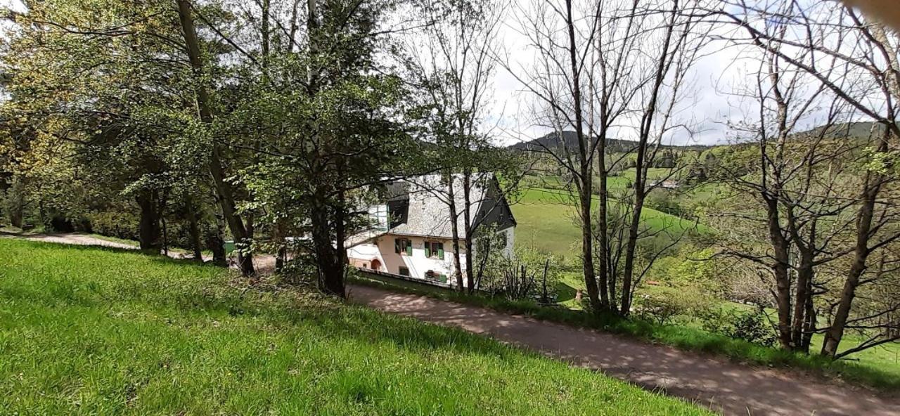 Villa Nordiques De La Welche Orbey Esterno foto