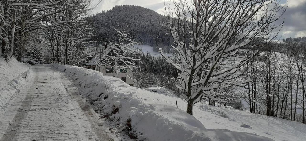 Villa Nordiques De La Welche Orbey Esterno foto