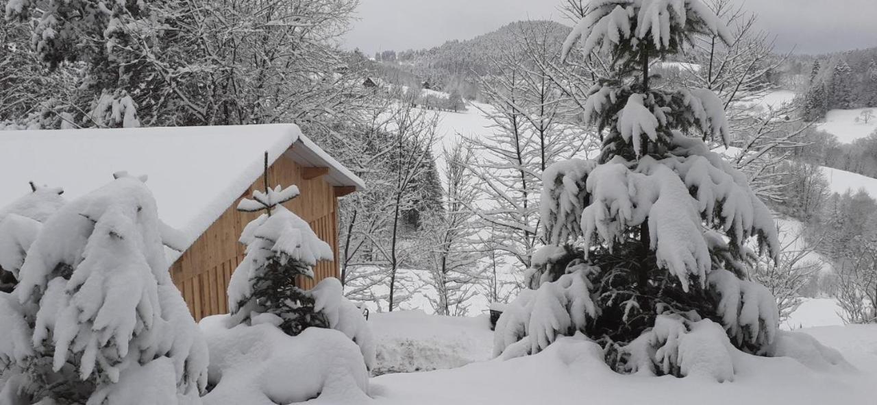 Villa Nordiques De La Welche Orbey Esterno foto