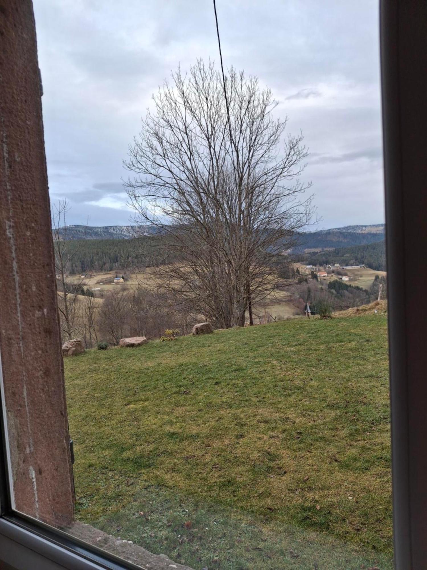 Villa Nordiques De La Welche Orbey Esterno foto
