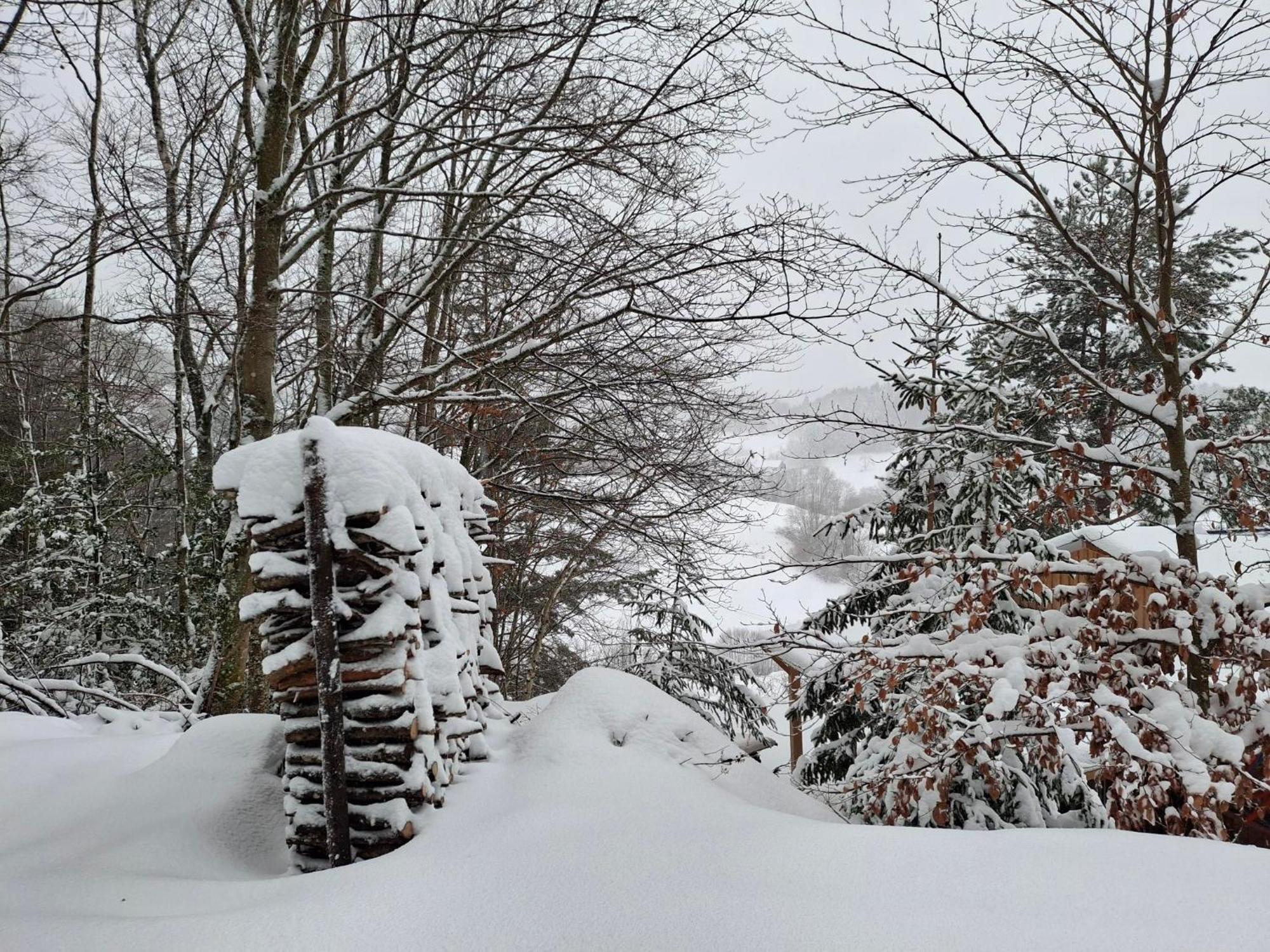 Villa Nordiques De La Welche Orbey Esterno foto