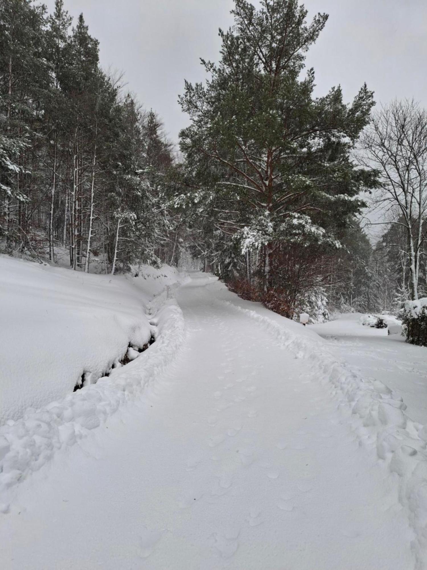 Villa Nordiques De La Welche Orbey Esterno foto